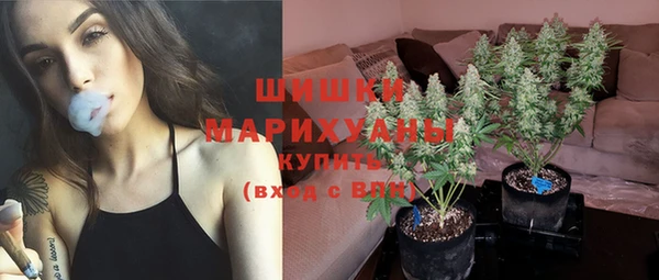 PSILOCYBIN Богородск